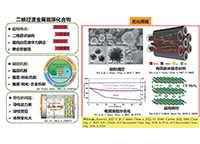 二維硫化物負(fù)極制備及其電化學(xué)性能